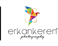 _mail...logo3